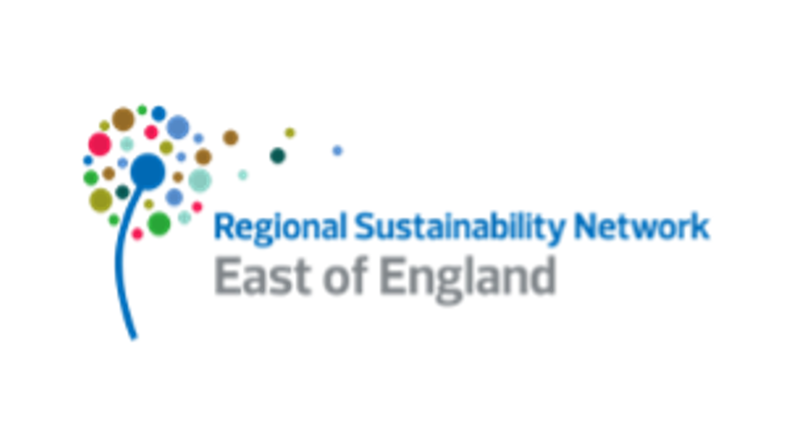 Regional Sustainability Network