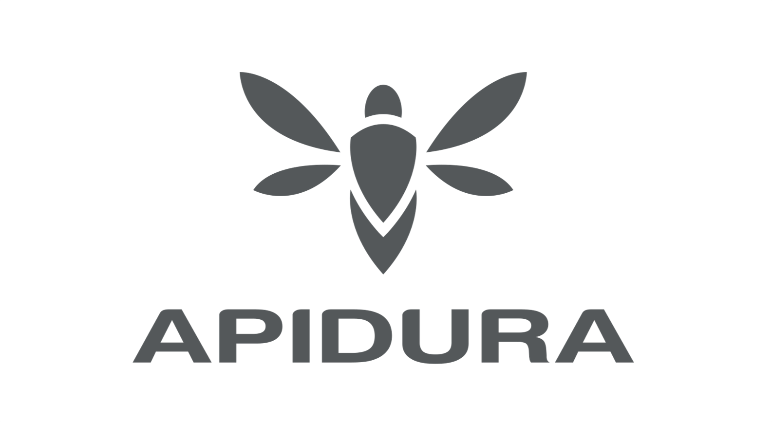 Apidura