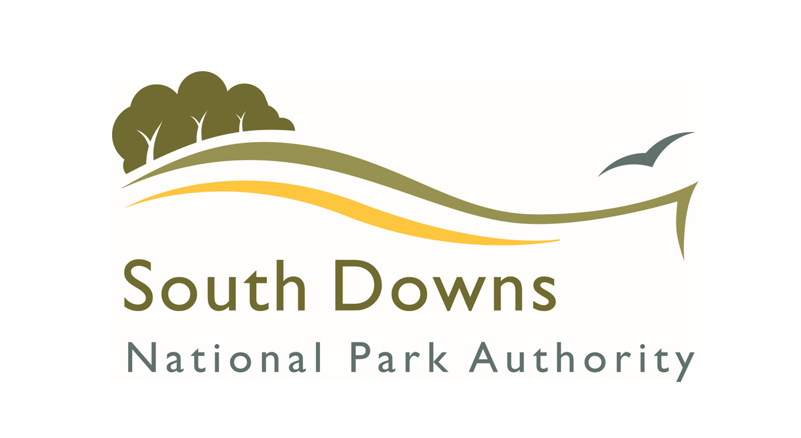 South Downs National Park Authority